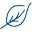 ies.solutions