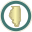 iesa.net