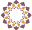 ifhc.com.jo