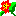 iflowers.com