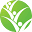 ifpri.info