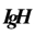 igh.de
