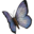ignis.se