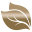 ihhclinic.com