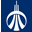 iic.ru