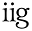 iigdesign.com