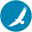 iitranslation.com
