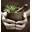 illinoisnaturopathy.com