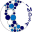 imdsa.org