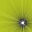 impacservices.com