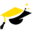 incode.net.pl
