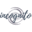 incognitoglobaltravel.com