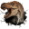indiana9fossils.com
