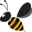 indianahoney.org