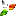 indiaonline.pl