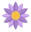 indiaonlineflorists.com