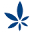 indigo.jpn.com
