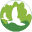 indiumlakeforest.com
