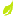 indoor-plants-tips.ru