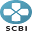 infectioasecluj.ro
