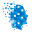 infochief.com.vn