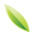 infovision.ru