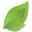 initio.co.nz