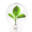 inovautus.com