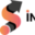 insnapsys.com