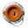 inspectionplug.com