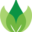 instash.com