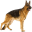 integracioncanina.com