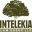 intelekia-law.com