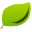 inter-flora.com.pl