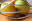 intercharm.net