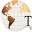 internationaltravelinstitute.com