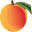 internetexpert.ru