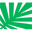 interwood.pk