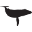 iobis.org