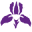 iris.kz