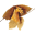 irish-forum.de