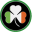 irishcountrymusicradio.com