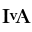 irisvonarnim.de