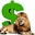 ironlion.com