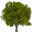 ironwoodcap.com