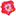 islandtropicalfoliage.com