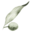 italybeyondtheobvious.com