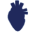 italymedicalschools.com