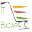 itbazar.pk