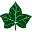 ivysport.com